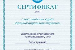 Sertifikat-Elena-Gunkova